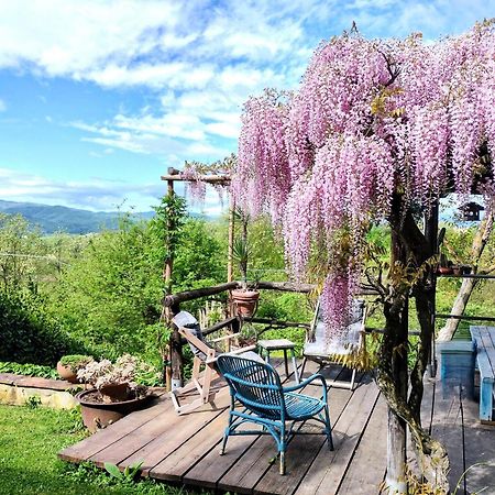 Tuscan Hills - Stonehouse, Garden & Pool Vicchio Bagian luar foto