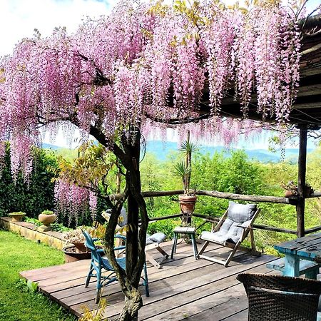 Tuscan Hills - Stonehouse, Garden & Pool Vicchio Bagian luar foto