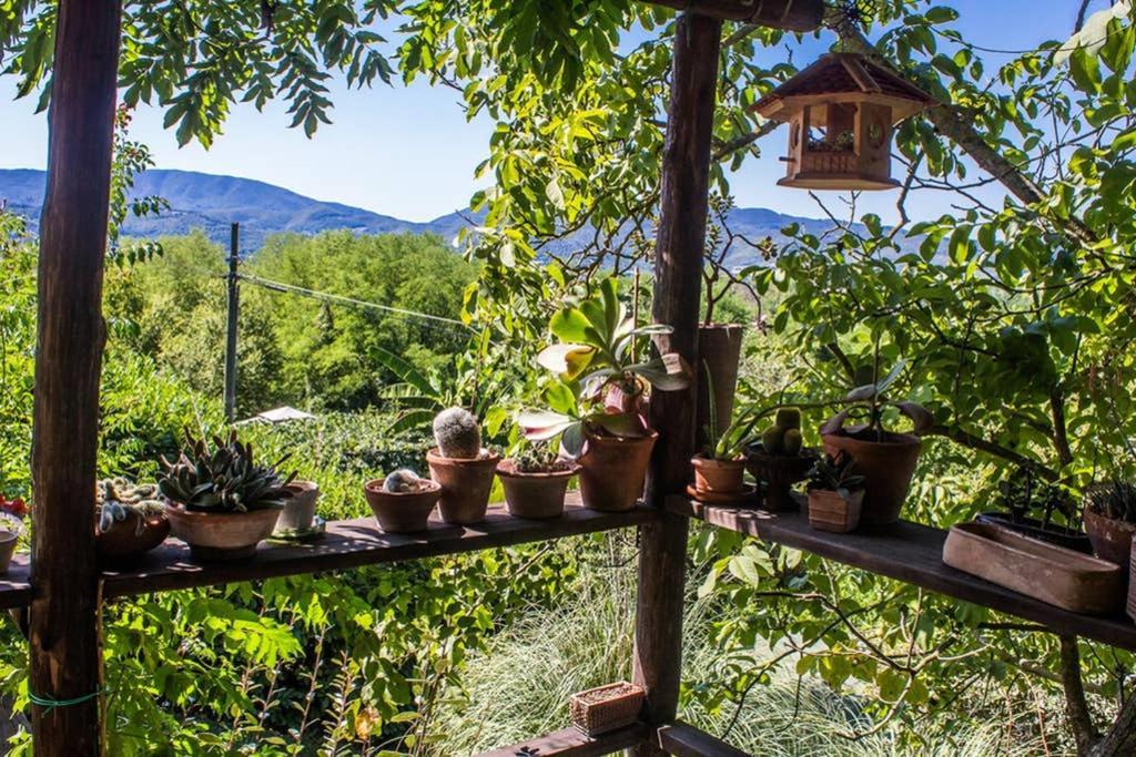 Tuscan Hills - Stonehouse, Garden & Pool Vicchio Bagian luar foto