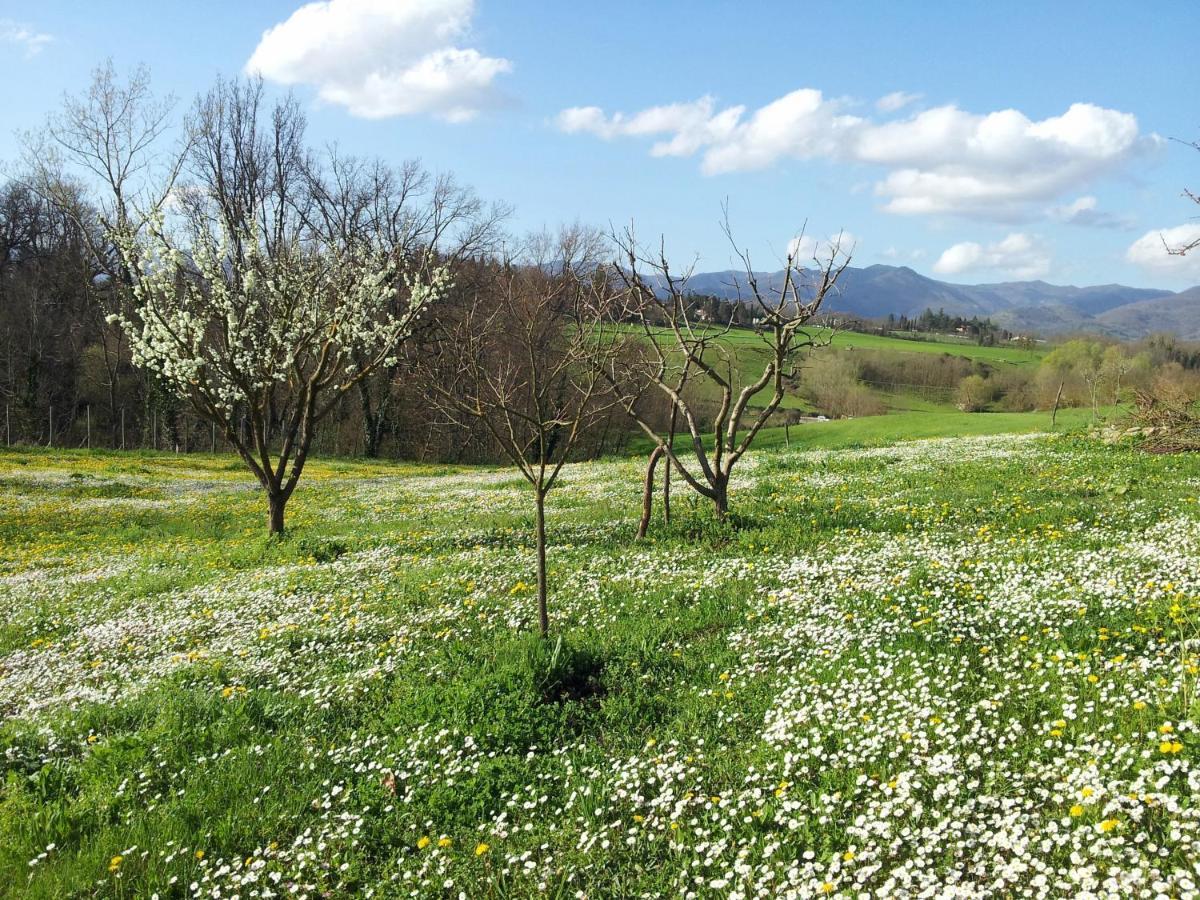 Tuscan Hills - Stonehouse, Garden & Pool Vicchio Bagian luar foto