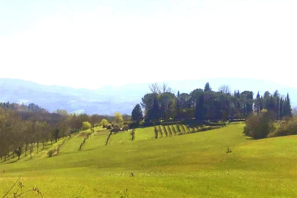 Tuscan Hills - Stonehouse, Garden & Pool Vicchio Bagian luar foto