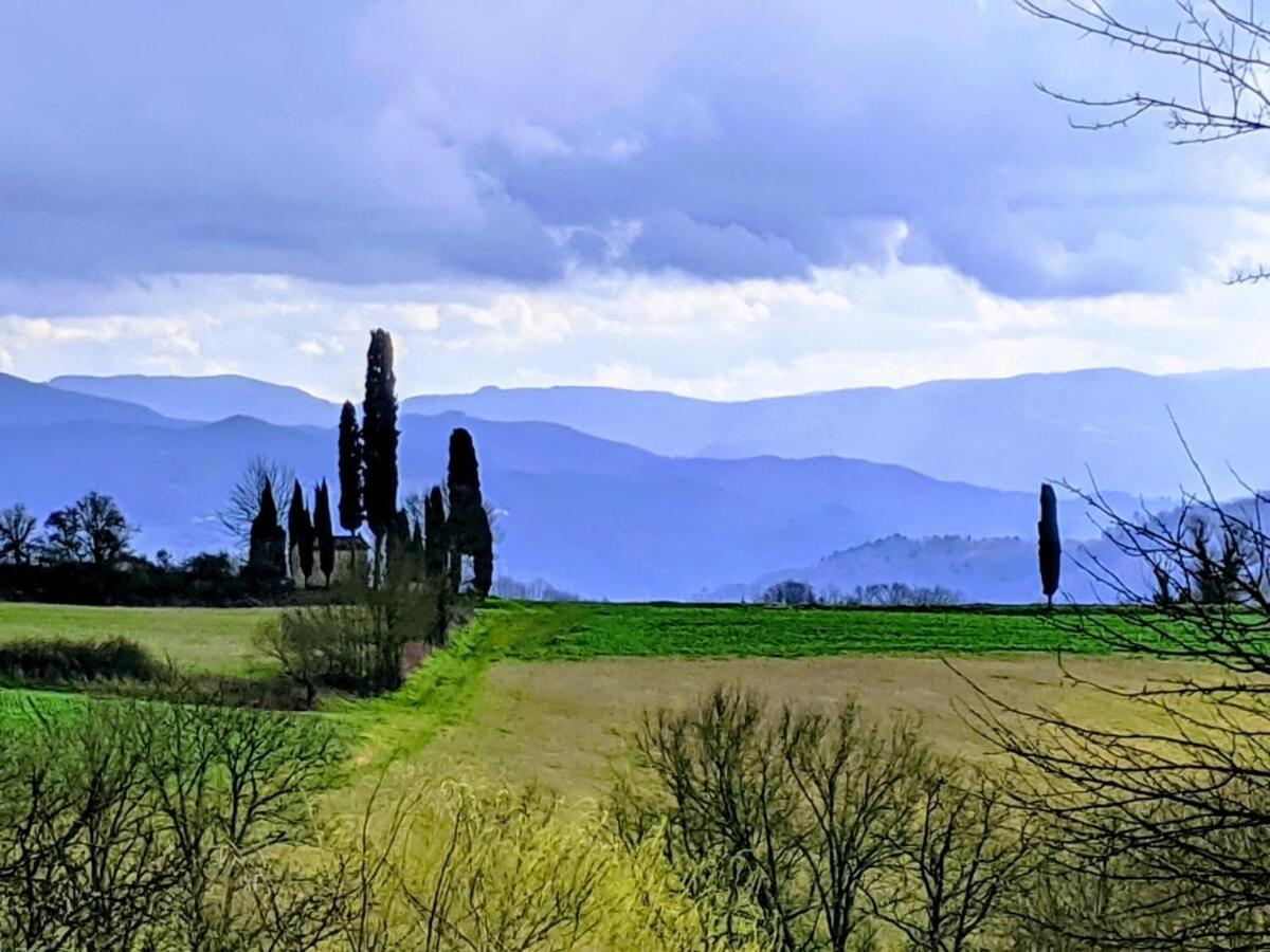 Tuscan Hills - Stonehouse, Garden & Pool Vicchio Bagian luar foto